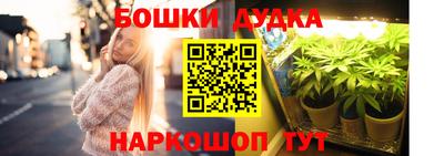 дживик Железногорск